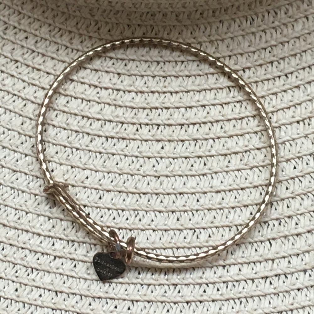 Alex and Ani Wire Textured Bangle Bracelet